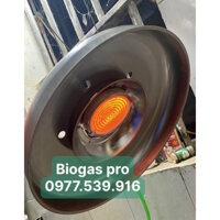 Sưởi Biogas