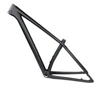 Sườn xe đạp carbon MTB 29 inch form Epic màu Đen nhám