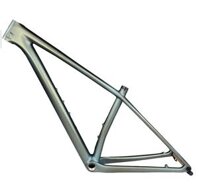 Sườn xe đạp carbon MTB 29 inch form Epic màu Gradient Xám nhám