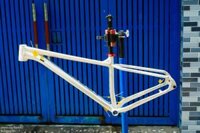 Sườn xe đạp MTB raw 29 inch boost 148 size 16/18/20 inch