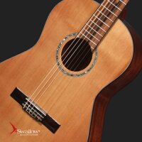 Swallow Classic Guitar C300A