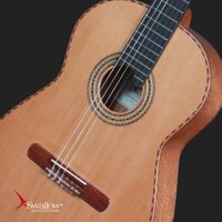 Swallow Classic Guitar C650
