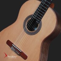 Swallow Classic Guitar CW50