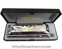 Swan Chromatic Harmonica 12 Holes