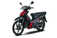 SYM Elegant 50 Vành Đúc (Quà tặng)