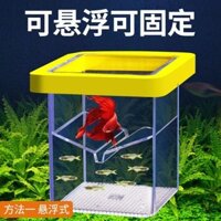 T Thái Lan Betta Bể Cá Acrylic Trong Suốt Khối Xây Dựng Hộp Cách Ly Nhỏ Trang Trí Chuyên Dụng Để Bàn Cảnh Quan Bể Cá Hàng cxbszxycw.my1 * 5