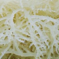 T1 rong sụn dùng nấu chè, làm gỏi, nấu thạch rau câu -100g/500g T1