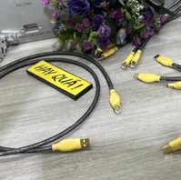 T11-10G​ Dây USB Audiophile đồng OFC mạ Bạc - Dây USB A & B