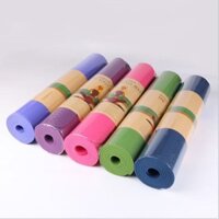 T4 RQ Thảm Tập Yoga, Thể thao TPE ECO FriendLy chính hãng Dày 6mm 9 7