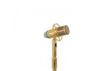 Micro karaoke đứng Bonus Audio MD6
