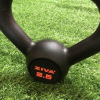 Tạ ấm cao su 2.5kg, tạ bình vôi cao su,KETTLEBELL - Tạ chuông , tạ ấm thể dục chuyên nghiệp, quả tạ