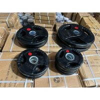 Tạ bánh Tạ đĩa gang tập thể hình giúp tập thân trên, cơ tay, cơ ngực săn chắc, nở nang 15kg, 20kg, 25kg