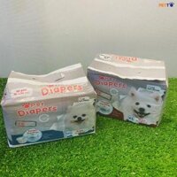 Tã bỉm pet diapers cho chó cái