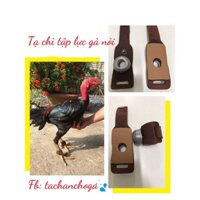 Tạ chì tập lực cho gà nòi combo 2 chân