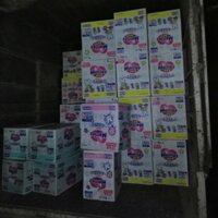 Tả dán Merries L54