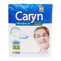Tã dán người lớn Caryn L10