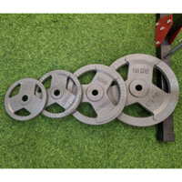 Tạ đĩa gang phủ sơn sấy phi 30mm - 10KG/bánh - Kingbox ( hàng nhập khẩu)