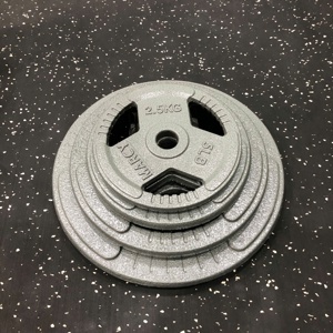 Tạ đĩa lỗ sắt sơn tĩnh điện 10kg