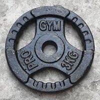 Tạ Dĩa Sắt Loại I