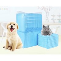 Tả lót chuồng thú cưng