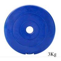 Tạ MIẾNG nhựa 3kg SportLink (Màu ngẫu nhiên Đen / Xanh)