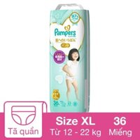 Tã quần Pampers cao cấp size XL 36 miếng (12 - 22 kg)