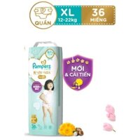 Tã Quần Pampers Nội Địa Nhật Bản M48/ L38/ XL36