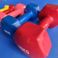 Tạ tay 10kg size lớn Dumbbell bọc cao su 6kg - 8kg tạ tập gym nam nữ
