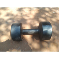 tạ tay 18kg gang đúc ( 1 quả)