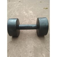 Tạ tay gang đúc 12kg
