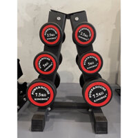 Tạ tay king box 15kg.