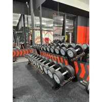 Tạ tay sắt bọc cao su nhập khẩu Technogym 25kg ( theo cặp ) chuyên dùng cho các bài tập cơ tay, cơ ngực, rèn luyện sứ