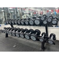 Tạ tay Technogym 12.5kg, 15kg, 17.5kg, 20kg, 22.5kg, 25kg, 27.5kg, 30kg ( Giá 1 cặp)