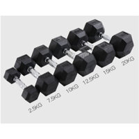 Tạ Tay Thép King Box FEIERDUN-KB20 Loại 20KG