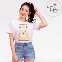 Tà Tưa Clothes Áo phông in hình chó lông xù