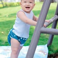 Tã vải hiện đại size L (12_24kg)