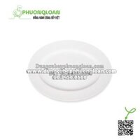 TA103 Đĩa xoài 10 CK-25,5cm