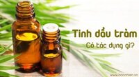 Tác dụng tuyệt vời ít ai ngờ tới của Tinh dầu tràm