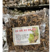 TẮC KÈ ĐÁ KHÔ 1KG