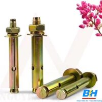 Tắc Kê Rút Nở Sắt M10X80mm Việt Nam DNBH-1013