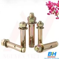 Tắc Kê Rút Nở Sắt M8X100mm Việt Nam DNBH-1015