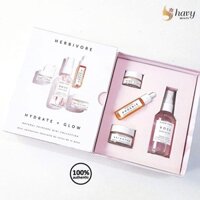 Tách set cấp nước và căng bóng da Herbivore Hydrate + Glow Natural Skincare Mini Collection