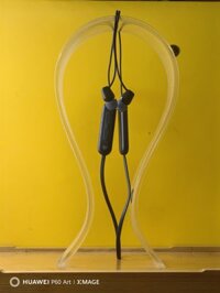 Tai nghe Bluetooth Sony WI-C100 – In-ear không dây, màu xanh dương