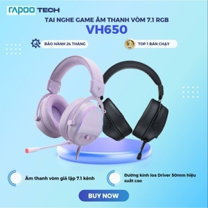 Tai nghe Rapoo VH650