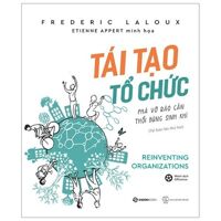 Tái Tạo Tổ Chức (Tái Bản 2020)