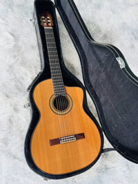 Takamine DMP-316 made in Japan