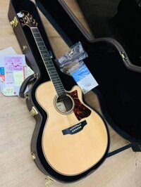 Takamine DMP-50S Made in Japan