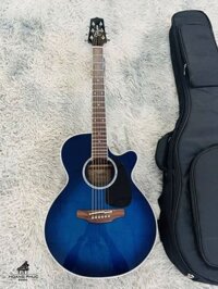 Takamine PTU-121C DBS