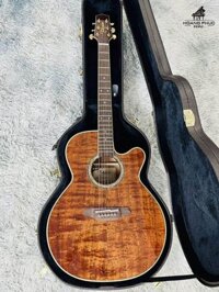 Takamine TDP531KC-N