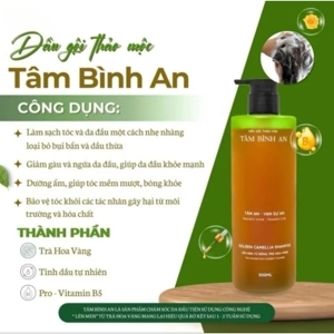 Tâm bình an